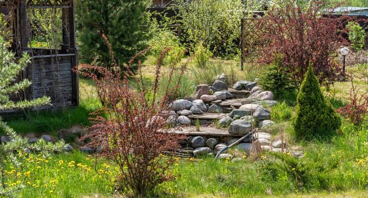 Ландшафтный дизайн участка